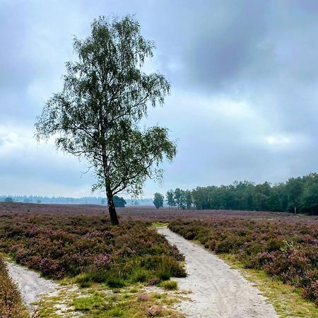 Huisje Aan De Bosrand - Veluwe Epe Eksteriør bilde